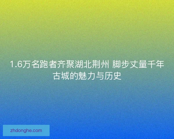 1.6万名跑者齐聚湖北荆州 脚步丈量千年古城的魅力与历史